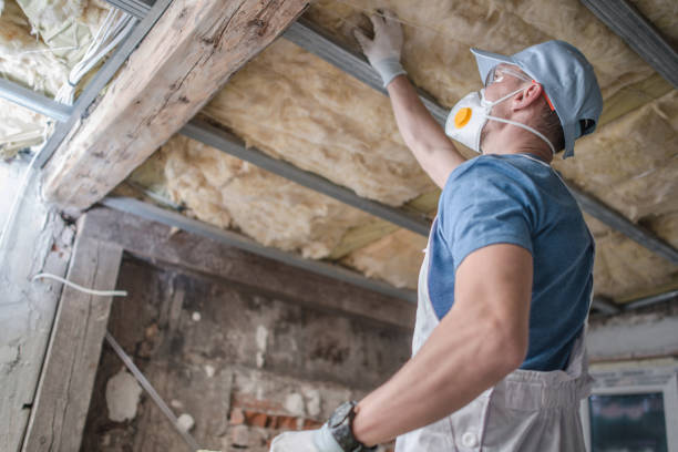 Best Spray Foam Insulation  in Danville, PA