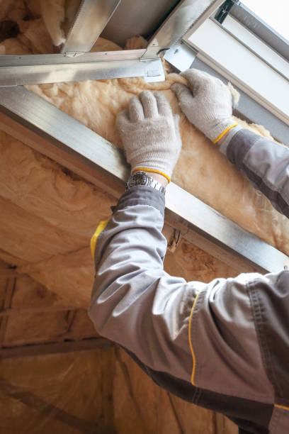 Best Radiant Barrier Insulation  in Danville, PA